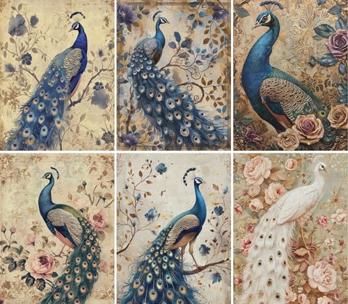 Vintage Pfau Reispapier, 20,3 x 26,7 cm, für Decoupage, Scrapbooking, Karten, Basteln von Craft Kreatively