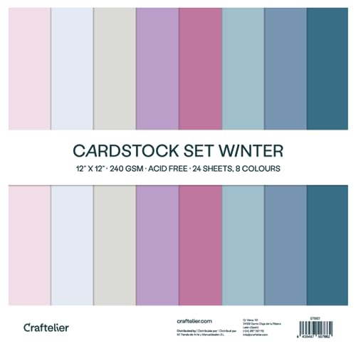 Craftelier - Cardstock Set | 24 Karten für Scrapbooking und Basteln | Textur Winter - Größe 30 x 30 cm - Grammatur 240 gr. von Craftelier