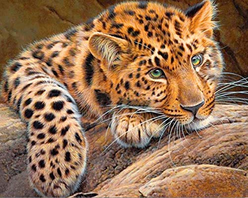 Crafts&Co® Diamond Painting Set, 5D Diamant Malerei, DIY, Malen nach Zahlen, Runde Dril Perlen, Wandbild, Kunsthandwerk für Zuhause, Wanddekoration (Leopard, 30 x 40 cm) von Crafts&Co