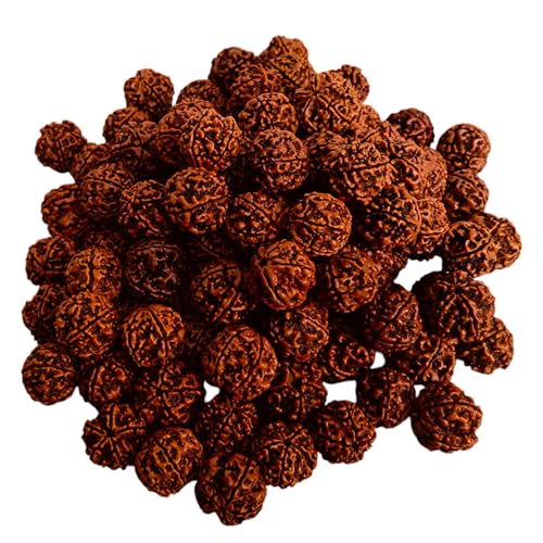 Rudraksha-Perlen, rund, lose Perlen, echte Himalaya-Meditations-Gebetsperlen, Schmuckherstellung, Rudraksha-Rocailles, 51 Stück, natürliche Rudraksha-Rocailles, Bodhi-Perlen, 5 Mukhi von Craftslook