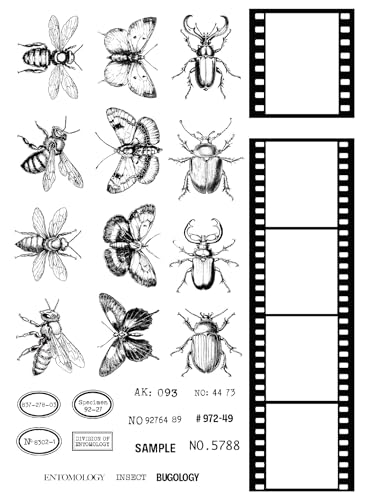 Creative Expressions CEC1122 Tracie Fox Bugology Negatives Stempel-Set, 15,2 x 20,3 cm, transparent, Photopolymer, farblos, 6 x 8 in von Creative Expressions