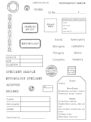 Creative Expressions CEC1123 Tracie Fox Entomology Passport Elements Stempel-Set, transparent, 15,2 x 20,3 cm, Photopolymer, farblos, 6 x 8 in von Creative Expressions