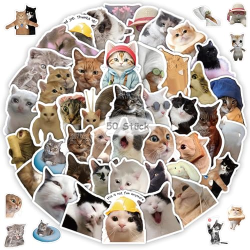 50 Stück Lustiges Katzen Aufkleber Set, Tiere Wasserfeste Vinyl Cute Katzen Meme Sticker für Auto Laptop Skateboard Fahrrad Moped Motorrad Fahrrad Computer,Geeignet für Erwachsene Kinder (Katzen Meme) von Crrynuo