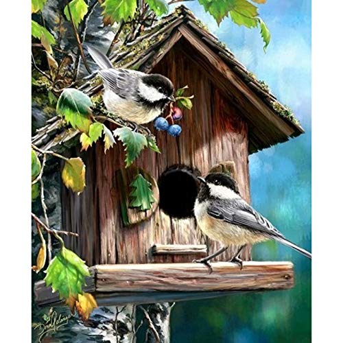 Cukol Kreuzstich Set Vorgedruckt Erwachsene Vogel, Stickvorlagen Stickbilder Vorgedruckt Kreuzstich Stickpackungen Stickpackung Stickbild Stickset Sticken Set Cross Stitch Kit 36 x 46 cm von cukol cukol