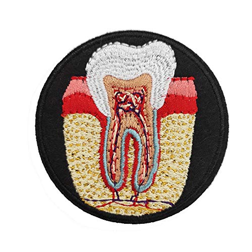 Cute-Patch Aufnäher zum Aufbügeln, anatomischer Zahnnerv, bestickt, Geschenk für Zahnarzt Cute-Patch Aufnäher zum Aufbügeln, anatomischer Zahnnerv, bestickt, Geschenk für Zahnarzt von Cute-Patch