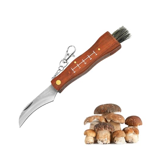 Cutiolly Pilzmesser,Pilzmesser Braun,Pilzmesser mit Bürste,Schwammerlmesser mit Pinsel,Klappmesser mit Gebogener,Kleines Taschenmesser,Edelstahl Pilzsammler Messer,Champignon Trüffel Taschenmesser von Cutiolly