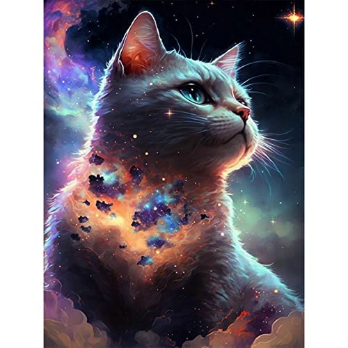 DAERLE Diamond Painting Erwachsene Kinder, Diamant Painting Bilder Katze, DIY Arts Craft Diamant Painting Kits als Geschenk und Home Wand Dekor 30x40cm von DAERLE