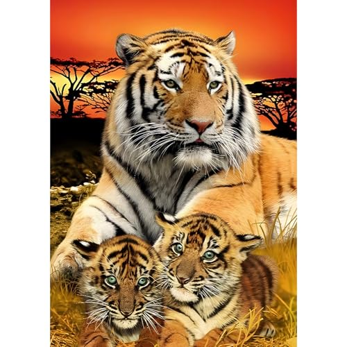 DAERLE Diamond Painting Kits für Erwachsene, Tigermutter mit Jungtieren, 5D Tier Diamant Malerei Set, DIY Diamantmalerei Basteln Bilder Arts als Geschenk für Home Wand Décor 30x40cm von DAERLE