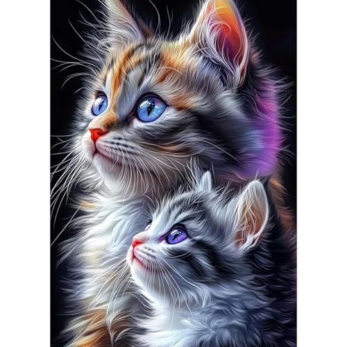 DAERLE Flauschige Katze Diamant Painting Bilder für Erwachsene Anfänger, 5D Kätzchen Diamond Painting Set, DIY Strass Bilder Diamant Kunst Kits, Diamant Painting für Zuhause Dekor 30x40 cm von DAERLE