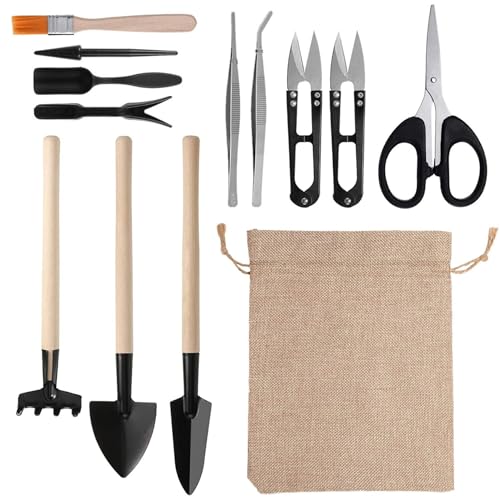 DAGLLGEW Bonsai Kit 13pcs/Set Mini Handheld Sukkulente Werkzeugkit Professionelle Bonsai -Werkzeuge transplantieren Trimmgartenwerkzeuge für die Pflanzenpflege, Sukkulente Werkzeugkit DAGLLGEW Bonsai Kit 13pcs/Set Mini Handheld Sukkulente Werkzeugkit Professionelle Bonsai -Werkzeuge transplantieren Trimmgartenwerkzeuge für die Pflanzenpflege, Sukkulente Werkzeugkit von DAGLLGEW