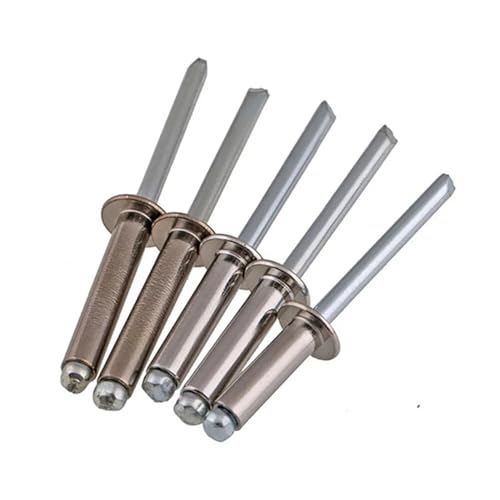 DAGROD 5-20 Stück 304 Edelstahl Rundkopf Pop Open Hohlblindnieten Selbststeckende Nieten Dekoration Nagel Rebite Blindniete(10Pcs (M5.0),30mm) von DAGROD