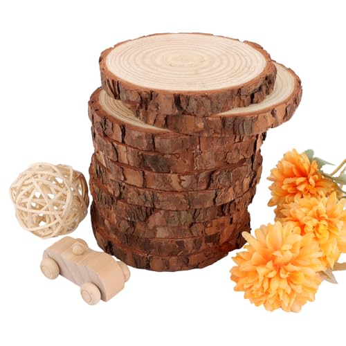 DAJAVE Holzscheiben 10 Stück Holzplatte Rund 13-14cm Baumscheiben Rund zum Basteln, Runde Holzscheibe Untersetzer Holz Log, Baumscheiben für DIY Basteln Hochzeit Weihnachten von DAJAVE