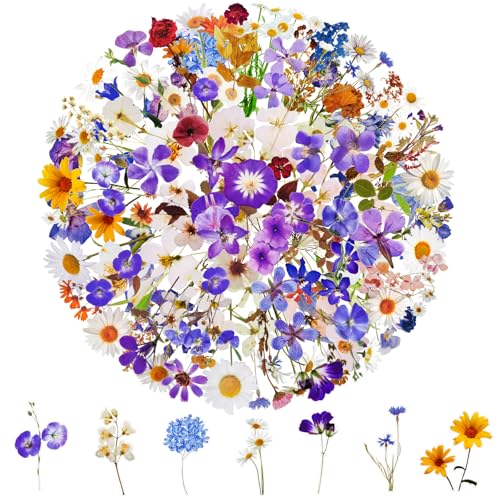 200 Stück Blumen Aufkleber Set，Scrapbooking Sticker für Erwachsene Kinder，Wasserfeste Selbstklebende ästhetische Aufkleber，Als Geschenk für die Dekoration Hochzeit Gästebuch，Laptop，Umschlag(100 Stile) von DAJUMOO