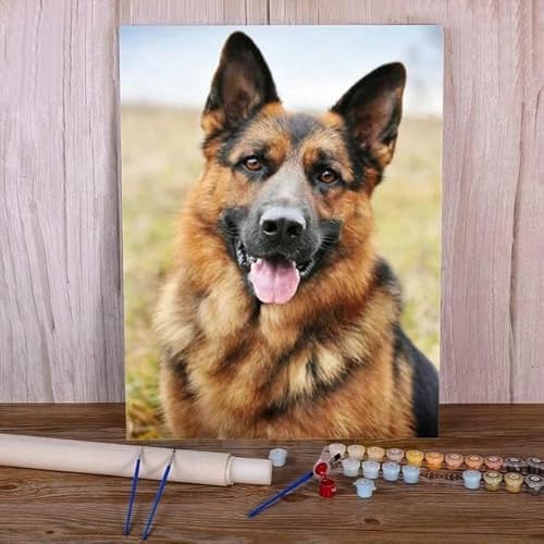 DALWI Malen-Nach-Zahlen-Set Tier Deutscher Schäferhund“ Acrylfarben Bild Nach Zahlen Fotodesign Kinderzeichnung 40x50cm von DALWI