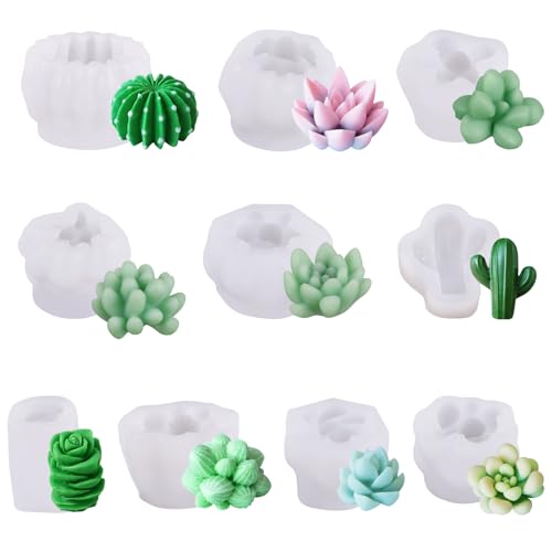 9/10pcs 3d Sukkulente Silikonformen Für Kerzenherstellung Und Epoxidharzen Art Realistic Cactus Designs Gussformen von DAYnagh