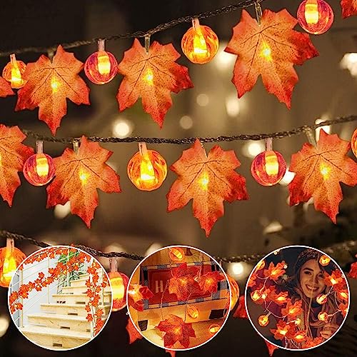 Ahornblatt Lichterketten,Herbst Ahornblatt Girlande Lichterkette,6M 40LED Maple Leaf Lichterketten,Halloween Kürbis Lichterketten,Ahornblätter Licht für Herbst Party,Weihnachten,Thanksgiving(B) von DAZZTIME