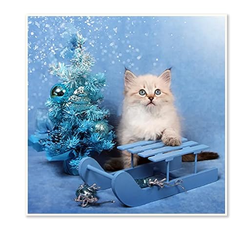 DCIDBEI 30 x 30 cm Runde Diamant Painting 5D Komplett Weihnachtsbaum, DIY Diamant-Malerei Katze, Basteln, Malen & Handarbeiten/Dekoration Zimmer Büro/Bestes Geschenk für Kinder von DCIDBEI