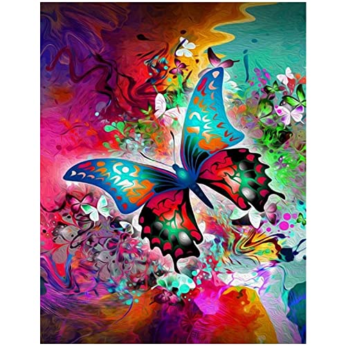 DCIDBEI 40 x 50 cm 5D Diamant Malerei Erwachsene malen nach zahlen quadratisch,Tiere Anime Diamond Painting Set Kinder,Dekoration,Basteln, Malen & Handarbeiten.Rot und Grün Schmetterling von DCIDBEI