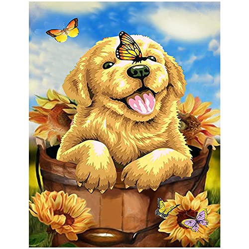 DCIDBEI 40 x 50 cm DIY Diamond Painting Set Hund, Diamant Stickerei Tiere Anime,Erwachsene, Kinder,quadratisch Dekoration für Wohnzimmer, Schlafzimmer | Golden Retriever von DCIDBEI