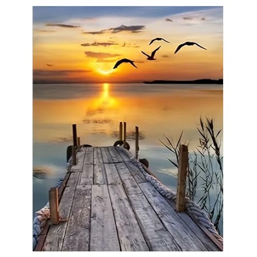 DCIDBEI DIY 5D Diamond Painting Strand und Meer 40x50cm Diamond Painting Landschaften und Natur Diamond Painting Sonnenuntergang am Meer Malen nach Zahlen Landschaft Brücke Stickbilder von DCIDBEI