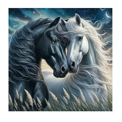 DCIDBEI DIY Diamond Painting Pferde 40x40cm Malen nach Zahlen Pferde 5D Diamant Malerei Kits Diamant Painting Bilder Pferd Aufkleber Diamond Painting Pferd Schwarz Weiß Stickbilder Pferde Tiere von DCIDBEI