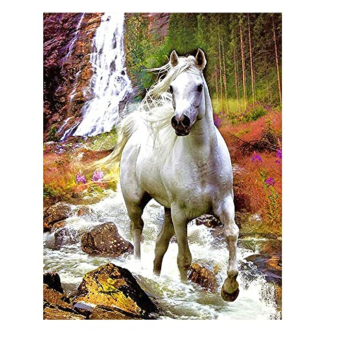 DCIDBEI Diamant Painting Bilder Erwachsene Pferde 40x50cm Diamond Painting Eckige Steine Pferd Square Diamond Painting Wasserfall Malen nach Zahlen Malerei Stickerei Kreuzstich Landschaft von DCIDBEI