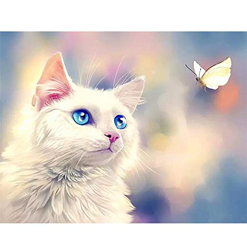 Diamond Painting Eckige Steine katzen 50x40 cm Diamond Painting katze Schmetterling 5D Diamant Painting Bilder Groß xxl Kreuzstich set Vorgedruckt Katzen Daiments Painting Als Geschsenk von DCIDBEI