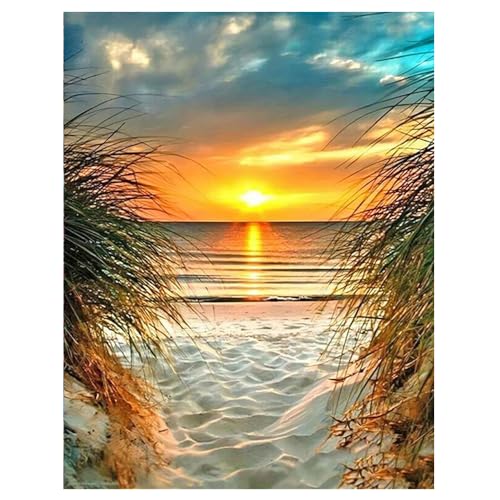 DCIDBEI Diamond Painting Meer und Strand 40x50cm Diamant Painting Bilder Strand und Meer Basteln Erwachsene Diamond Painting Sonnenuntergang am Meer Diamond Painting Landschaften und Natur von DCIDBEI