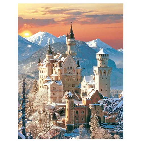 DCIDBEI Diamond Painting Neuschwanstein 40x50 cm Diamond Painting Schloss Neuschwanstein Stickbilder Erwachsene Kreuzstich Set Diamond Painting Landschaften Deutschland Malen nach Zahlen Mosaik von DCIDBEI