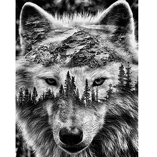 DCIDBEI Diamond Painting Quadratische Steine 40x50 cm Square Drill Diamond Painting Wolf Malen nach Zahlen Wolf Diamant Painting Bilder Erwachsene Diamant Malerei Set Stickbilder Erwachsene Tiere von DCIDBEI