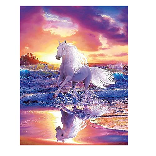 DCIDBEI Diamond Painting Sonnenuntergang Meer 40x50cm Diamond Painting Eckige Steine Pferd Diamant Painting Bilder Erwachsene Pferde Kreuzstich Set Strass Stickerei Square Diamond Painting Strand Meer von DCIDBEI