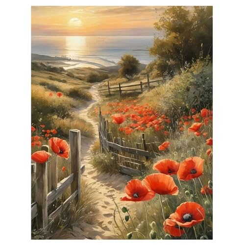 DCIDBEI Groß Diamond Painting Mohnblume Weg 40x50 cm Diamant Painting Bilder Blumen Diamond Painting Erwachsene Blumen Mohnblume Straße Romantischer Weg Stickbilder Landschaft Sonnenuntergang Meer von DCIDBEI