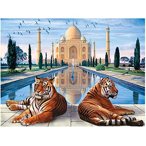 DIY 5D Diamond Painting Eckige Steine Landschaft 50x40 cm Diamond Painting Taj Mahal Tiger Taj Mahal Malen nach Zahlen Erwachsene kristall Bilder DIY Diamant Gemälde Aufkleber Kit Kreuzstich Dekor von DCIDBEI