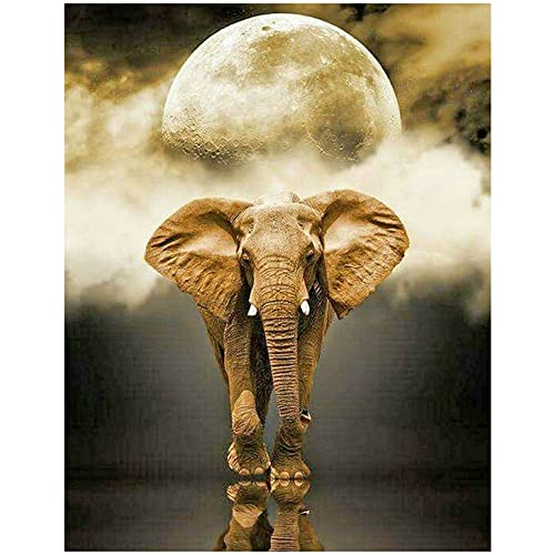 DCIDBEI DIY Square Diamond Painting Eckige Steine 40x50 cm 5D Diamant Malerei Malen nach Zahlen Erwachsene Tiere Elefant Planet Quadratische Steine Kristall Strass Stickerei Kreuzstich Leinwand von DCIDBEI