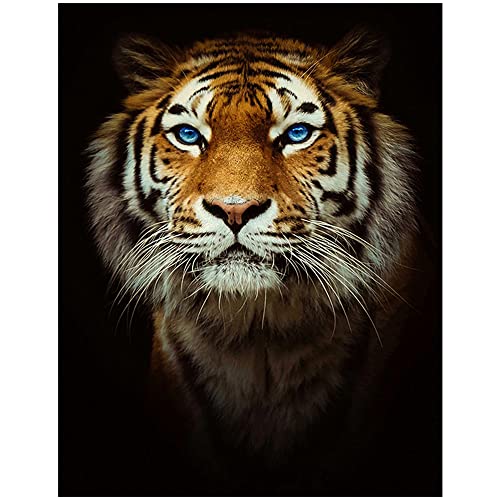 Diamant Painting Bilde Groß Tiger 40x50cm Daiments Painting Mit Diamond Painting Zubehör Diamond Painting Square Quadratische Steine Malen nach Zahlen Kreuzstich Gemälde Für Indie Aesthetic Room Decor von DCIDBEI