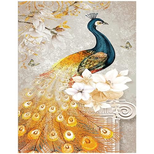 Diamant Painting Quadratische Steine Pfau 40x50cm Eckige Steine Diamond Painting Full Groß Square Drill Malen nach Zahlen Stitch Kreuzstich Diamant Painting Bilder Mosaik Leinwand Malerei Bastelset von DCIDBEI