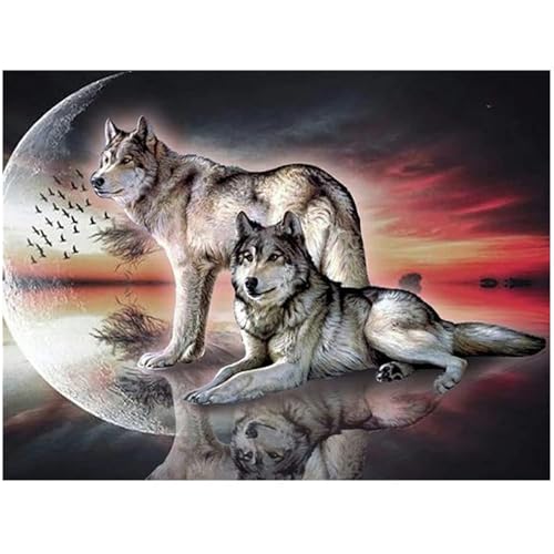 Diamond Painting Full Groß 2 Wölfe Eckige Steine 50x40cm Tiere Diamond Painting Bilder Malen nach Zahlen Stitch Mit Diamond Painting Zubehör Bastelset Erwachsene Kinder Diamant Mosaik für Haus Decor von DCIDBEI