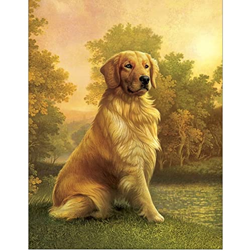 Diamond Painting Square Drill 40x50 cm Diamant Painting Bilder Hund Diamond Painting Hunde Labrador DIY 5D Malen nach Zahlen Hunde Craft Buddy Crystal Art für Home Wall Decor Stickbilder Kreuzstich von DCIDBEI