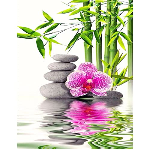 Diamond Painting Square Drill Erwachsene 40x50 cm Diamond Painting Orchideen 5D Diamant Painting Orchidee Diamond Painting Eckige Steine Orchidee Malen nach Zahlen Diamant Painting Landschaft wasser von DCIDBEI