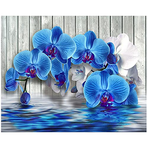 DCIDBEI Rund 5D Diamond Painting Orchidee 50x40 cm Diamant Painting Bilder Erwachsene Crystal Rhinestone Embroidery Diamant Malerei Malen nach Zahlen Orchideen Zen Bilder Kreuzstich Stickerei von DCIDBEI