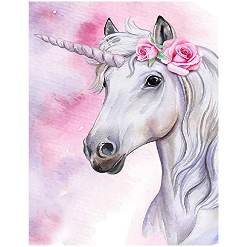 DCIDBEI 5D Diamond Painting 30x40 cm Diamant Painting Bilder Tiere Einhorn Diamant Malerei Kits Malen nach Zahlen Stickerei Kreuzstich Set Vorgedruckt Basteln Erwachsene Mosaik Aufkleber Gemälde von DCIDBEI