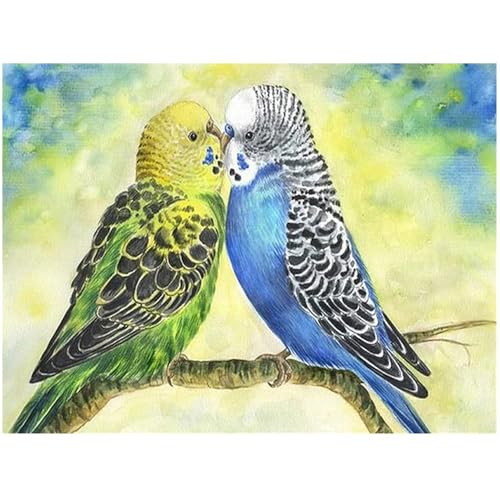 DCIDBEI Square Diamond Painting Papageien 40x30cm Quadratisch 5D Diamant Painting Bilder Papagei Bastelset Erwachsene Erwachsene, Geeignet Anfänger von DCIDBEI