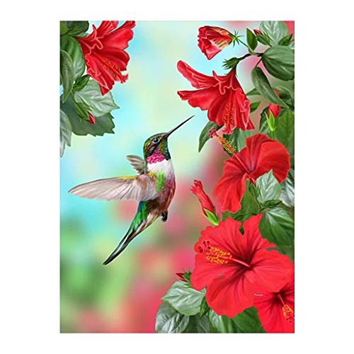 Square Diamond Painting Quadratische 5D Diamanten Malerei Set Kolibri Blumen Kreuzstich Stickerei Strasssteine Voll Set Gemälde Malen nach Zahlen Leinwand Wandkunst Zubehör Mosaik-Geschenk 30 x 40 cm von DCIDBEI