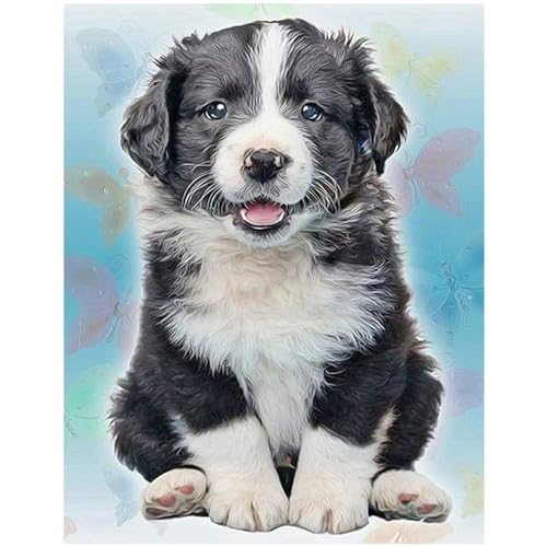 Square Drill Diamond Painting Groß Hund 30x40cm 5D Basteln Erwachsene Mosaik Diamant Bilder Malen nach Zahlen DIY Diamant Malerei Quadratische Steine mit Hd Viskose Leinwand Kreuzstich Set Wall Decor von DCIDBEI