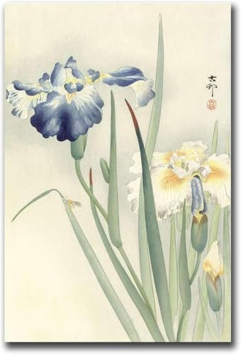 Ohara Koson Poster Iris Japanische Kunst Leinwand Malerei Vintage Blume Wandkunst Ohara Koson Drucke Für Moderne Wohnkultur Bilder 40x60cm Kein Rahmen von DDSEW GREWT