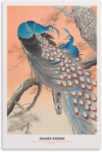 Ohara Koson Poster Zwei Pfauen auf einem Ast Japanische Kunst Leinwand Malerei Vintage Wandkunst Ohara Koson Drucke Für Wohnkultur Bilder 40x60cm Kein Rahmen von DDSEW GREWT