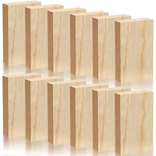 DEAYOU 12 Stück MDF-Holzplatte, unlackierte Holzrechteck zum Basteln, mitteldichte Faserplatte, 2,5 cm dicke Holzblöcke, Spanplatten zum Gravieren, Malen, Kunst, Handwerk, Chipschnitzen, 13 x 8 cm von DEAYOU