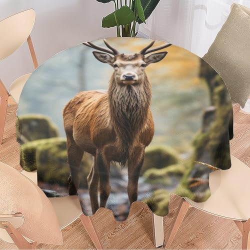 DEBAOKA Moderne runde Tischdecke mit Hirsch, schöne Hölzer, Wildtiere, wiederverwendbar, kreisförmig, hitzebeständig, schmutzabweisend, Tischdecke für Esszimmer, Küche, Innen- und Außenbereich, von DEBAOKA