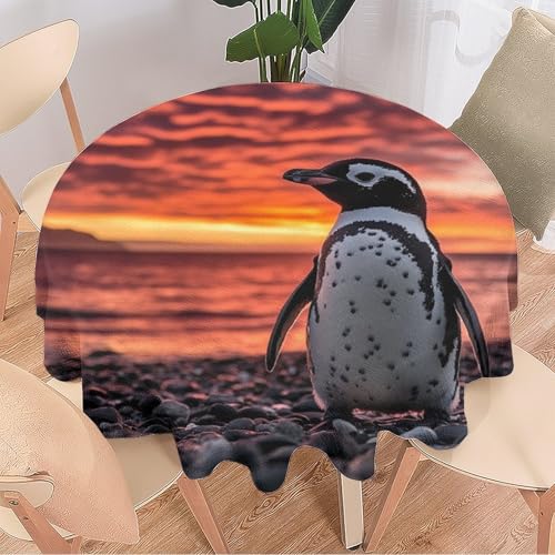 DEBAOKA Runde Tischdecke mit Pinguin, rustikaler Ozean, Strand, Sonnenuntergang, wiederverwendbar, kreisförmig, hitzebeständig, schmutzabweisend, Tischdecke für Esszimmer, Küche, Innen- und von DEBAOKA