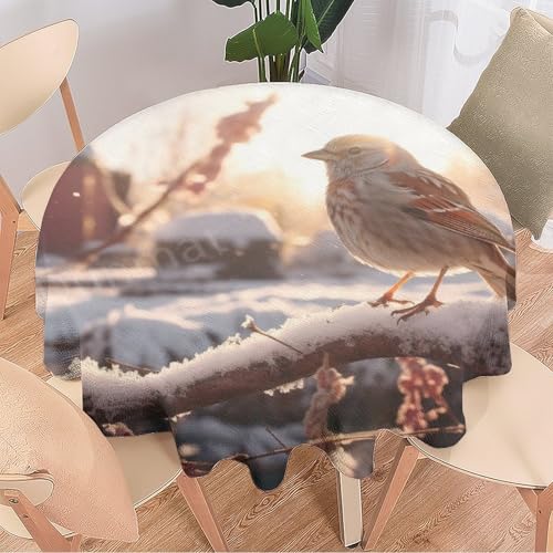 DEBAOKA Runde Tischdecke mit Vogelmotiv, modernes Tier, Winter, schneebedeckt, wiederverwendbar, hitzebeständig, schmutzabweisend, Tischdecke für Esszimmer, Küche, Innen- und Außenbereich, von DEBAOKA